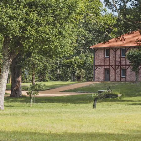 Maison Montaut Onesse-et-Laharie Ngoại thất bức ảnh